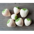 thumbnail image 1 of White Strawberry Plants for Growing - Grow White Pineberries - Bare Root Plants, Easy to Grow (10 Plants), 1 of 5