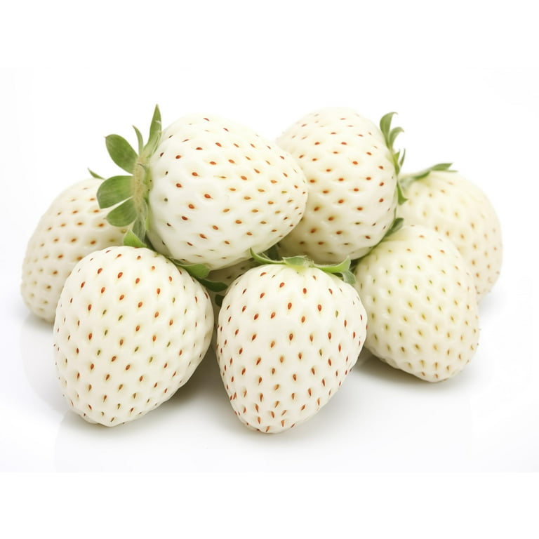CZ Grain, White Strawberry Plants, 10 Plants, Easy to Grow