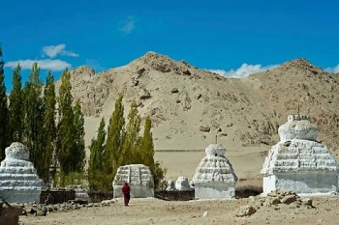 White Stupa Forest Shey Ladakh India Canvas Art - Anthony Asael DanitaDelimont (29 x 19)