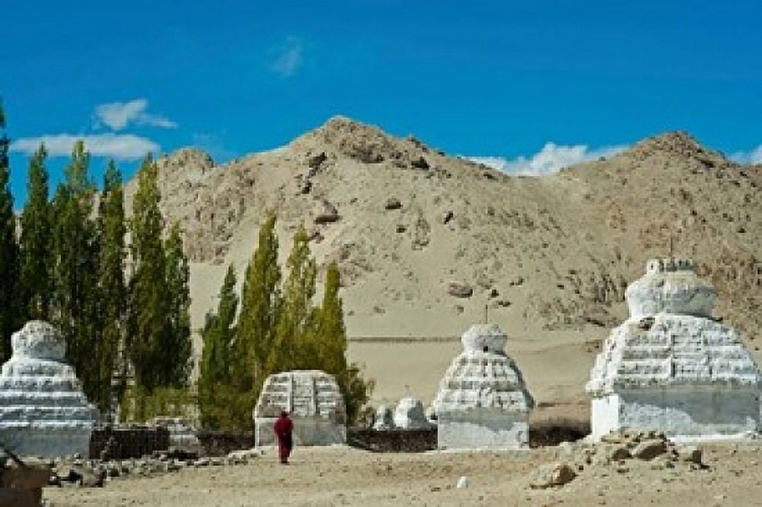 White Stupa Forest Shey Ladakh India Canvas Art - Anthony Asael DanitaDelimont (36 x 24)