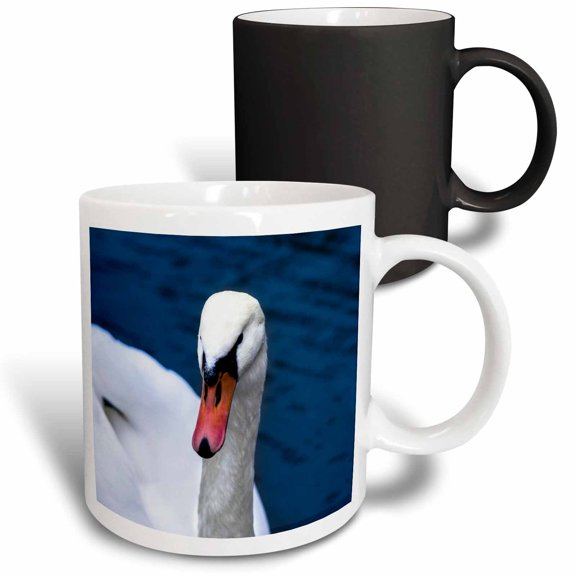 3drose, White Swan in the Blue Water, 11oz Magic Transforming Mug