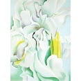 thumbnail image 1 of White Sweet Peas-O'Keeffe - CANVAS OR FINE PRINT WALL ART, 1 of 1