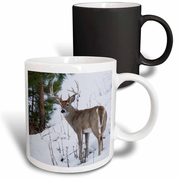 3drose, White-tail Deer Buck, 11oz Magic Transforming Mug