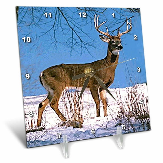3dRose, White Tailed Deer, 6x6 Desk Clock