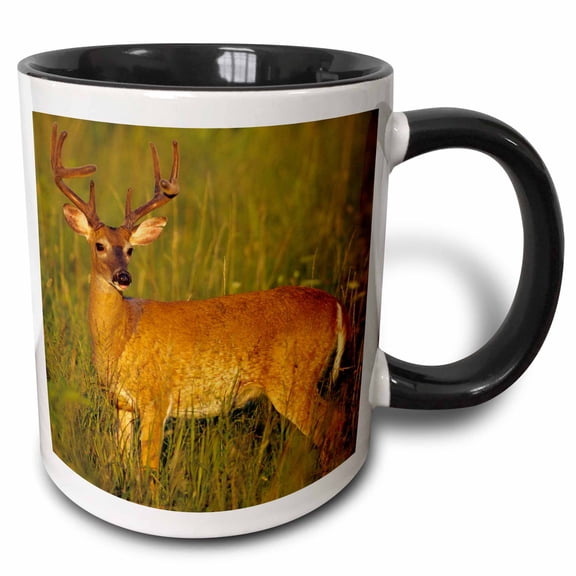 3drose, White-tailed Deer 8-point Buck in Velvet, Tennessee, 11oz Two-tone Black Mug