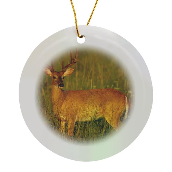 3drose, White-tailed Deer 8-point Buck in Velvet, Tennessee, Circle Porcelain Ornament
