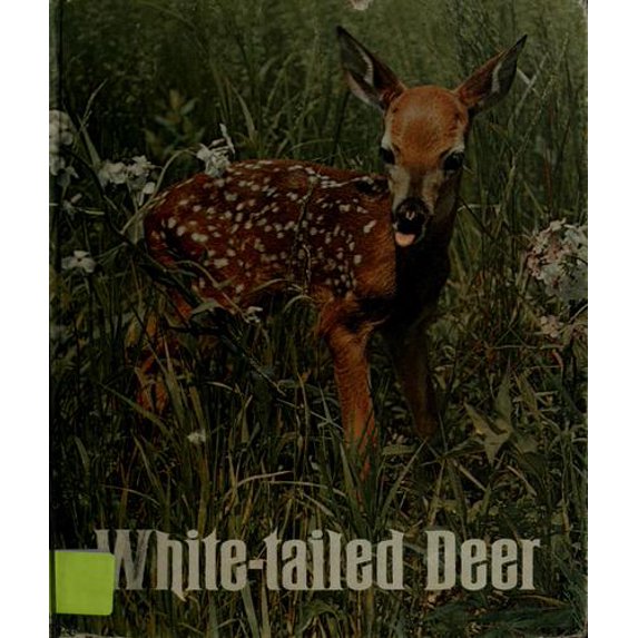 Pre-Owned White-tailed deer (Ranger Rick's best friends) (Hardcover) 0912186003 9780912186009