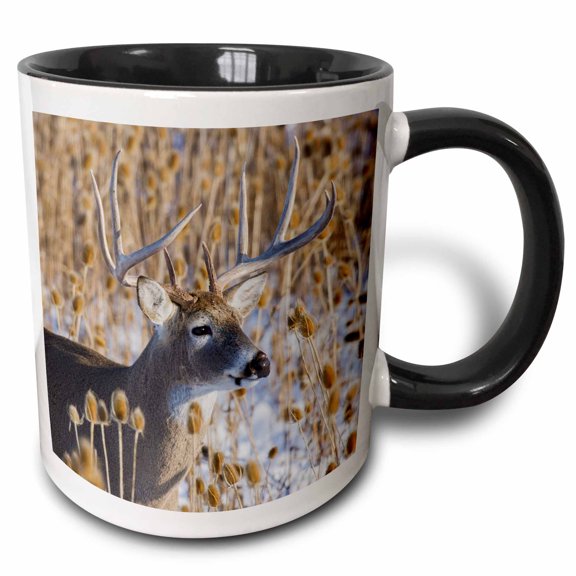 3drose, White-tailed Deer Buck Close up in the Thistles., 11oz Two-tone Black Mug