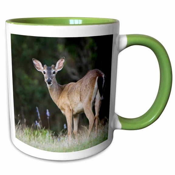 3drose, White-tailed Deer, Buck, Hill Country, Texas - Na02 Rnu0312 - Rolf Nussbaumer, 11oz Two-tone Green Mug
