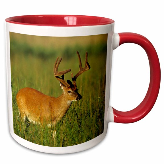 3drose, White-tailed Deer, Eight Point Buck in Velvet, Tennessee 01, 11oz Two-tone Red Mug