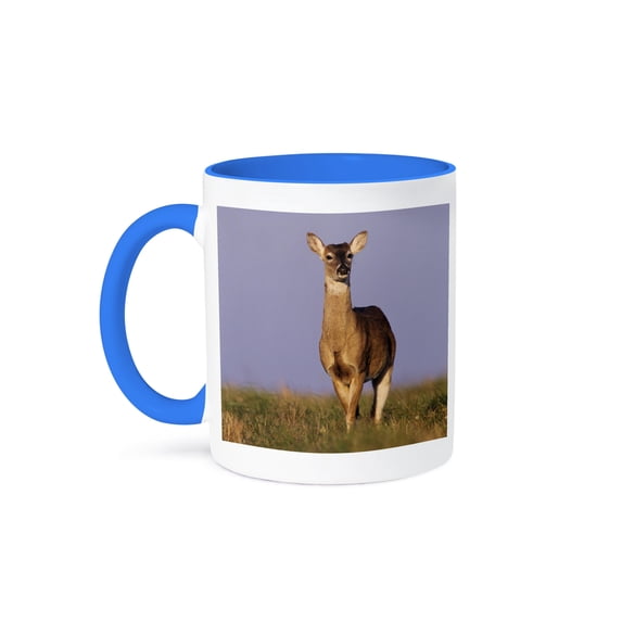 3dRose, White-tailed Deer, Welder Wildlife Refuge, Texas - NA02 RNU0844 - Rolf Nussbaumer, 15oz Two-Tone Blue Mug