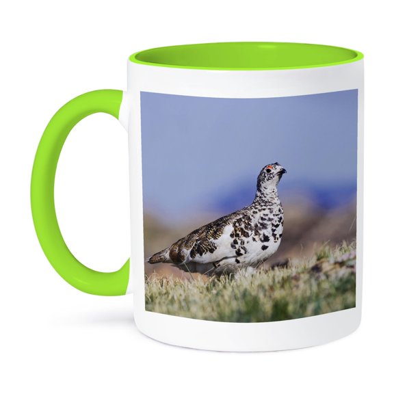 White-Tailed Ptarmigan Bird, Rocky Mountain Np Co - Na02 Rnu0849 - Rolf Nussbaumer, 15oz Two-Tone Green Mug