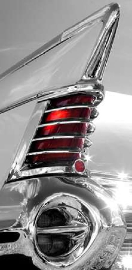 White Tailfin Canvas Art - Matt McCarthy (24 x 48)