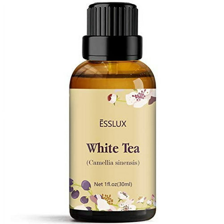 P&J Fragrance Oil  White Tea Oil 30ml - Candle Scents for Candle Making  Freshie Scents Soap Making Supplies Diffuser Oil Scents White Tea 1 Fl Oz  (Pack of 1)