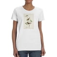 thumbnail image 1 of White-Throated Sparrow T-Shirt Women -John James Audubon Designs, Female Small, 1 of 4