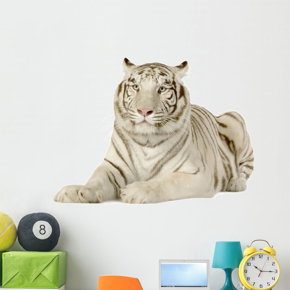 White Tiger 3 Years Wall Decal Sticker by Wallmonkeys Vinyl Peel and ...