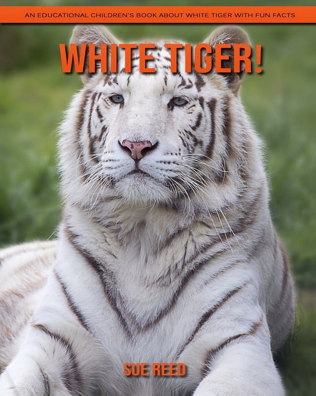 25 Surprising White Tiger Facts For Kids (2024) - Milwaukee with Kids