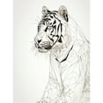 thumbnail image 1 of White Tiger Line Drawing Polygon Stripes Pattern Unframed Wall Art Print Poster Home Decor Premium, 1 of 4
