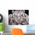 thumbnail image 1 of White Tiger Wall Mural by Wallmonkeys Peel and Stick Graphic (18 in W x 14 in H) WM277083, 1 of 4
