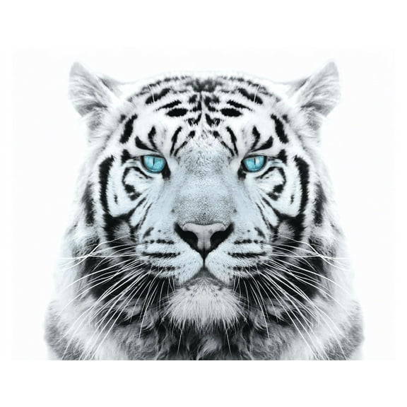 White Tiger with Blue Eyes Edible Cake Topper-1/4 Sheet