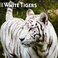 thumbnail image 1 of White Tigers | 2024 12x24" (Hanging) Square Wall Calendar | BrownTrout, 1 of 8