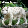 thumbnail image 1 of White Tigers | 2026 12x24" (Hanging) Wall Calendar | Plastic-Free | BrownTrout, 1 of 9