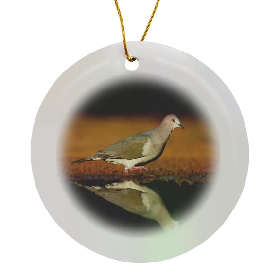 3drose, White-tipped Dove, Leptotila Verreauxi by Pond., Circle Porcelain Ornament