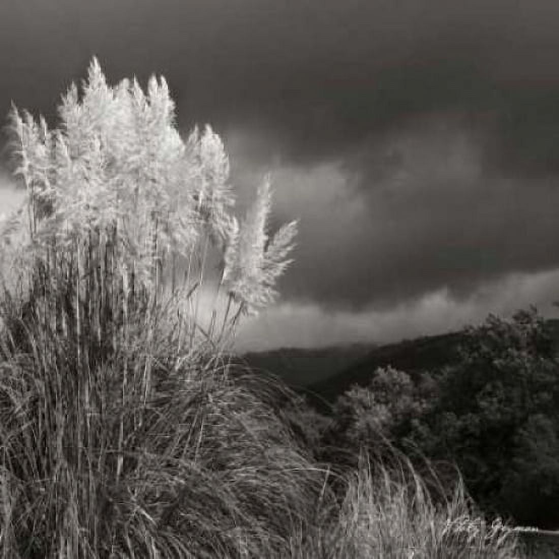 White Towers III BW Canvas Art - Geyman Vitaly (24 x 24)