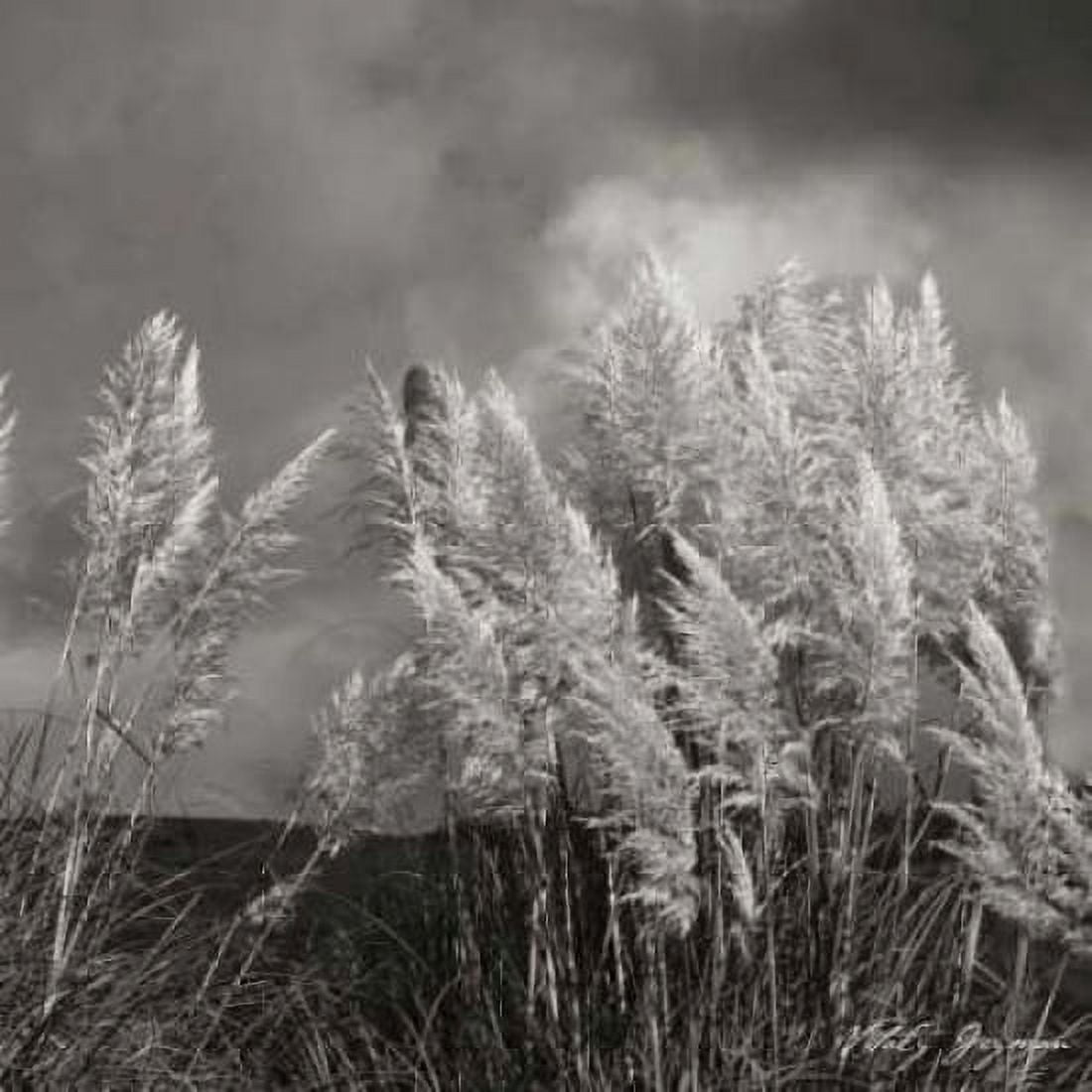 White Towers IV BW Canvas Art - Geyman Vitaly (24 x 24)