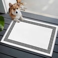 thumbnail image 1 of White Traditional Front Door Rugs 2x3 ft Greek Key Meander Border Square Geometric Small Rug for Entryway Non Slip Washable Bathroom Door Mat Absorbent Floor Mat for Indoor Entrance, 1 of 9