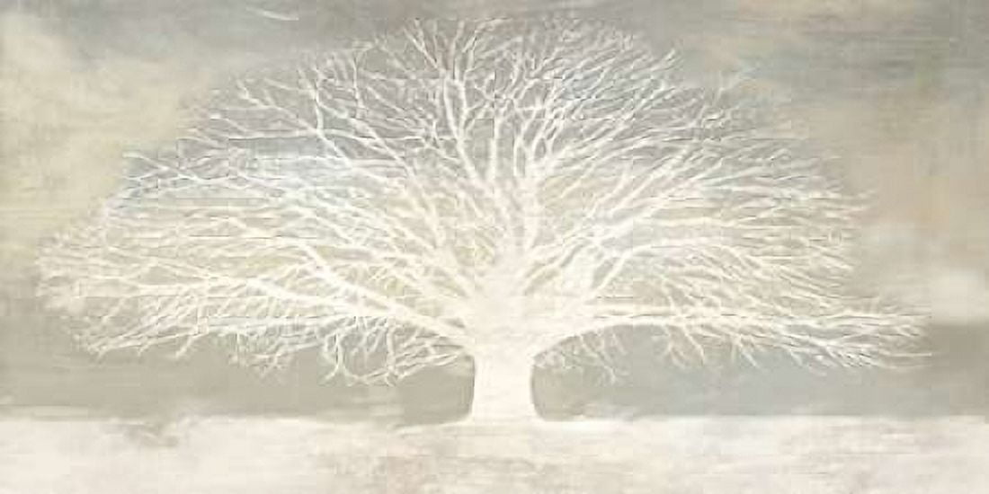 White Tree Canvas Art - Alessio Aprile (10 x 20)