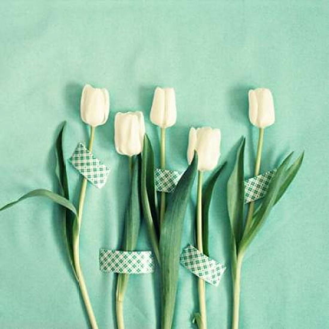 White Tulips Taped Canvas Art - Vicki Dvorak (24 x 24)