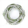 thumbnail image 1 of White Twig And Green Moss Artificial Wreath - Small, 1 of 1