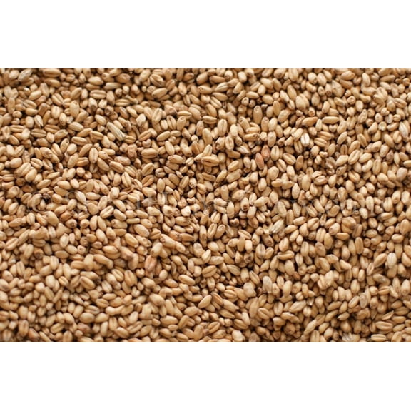 White Wheat Malt (10 lb)