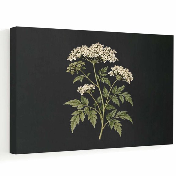 White Wildflowers Canvas Wall Art, Rustic Floral Green Leaf Stems Black Background Wall Art Prints Artwork Framed Canvas Ready to Hang Art Pictures for Bathroom Bedroom Entry Desk Corner 10" x 8"