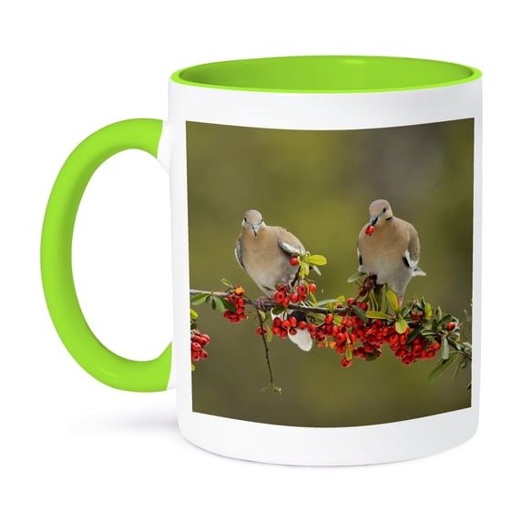 White Winged Dove On Firethorn With Berries, Hill Country, Texas, 11oz Two-Tone Green Mug