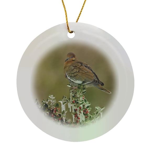 3drose, White Winged Dove Perched on Yaupon Holly, Hill Country, Texas, Circle Porcelain Ornament