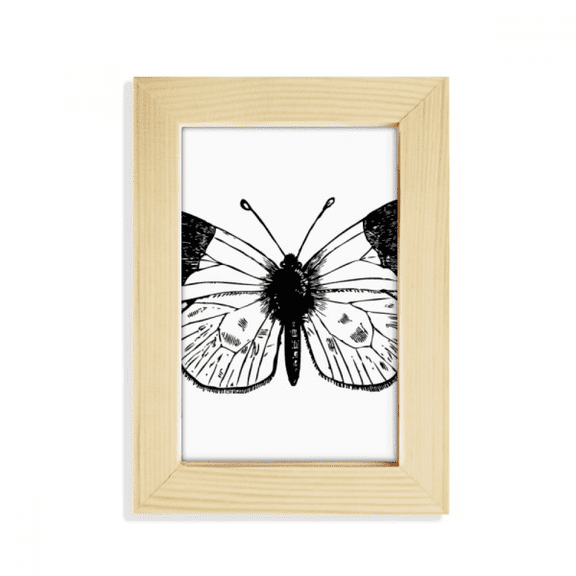 White Wings Specimen Desktop Display Photo Frame Picture Art Painting 5x7 inch