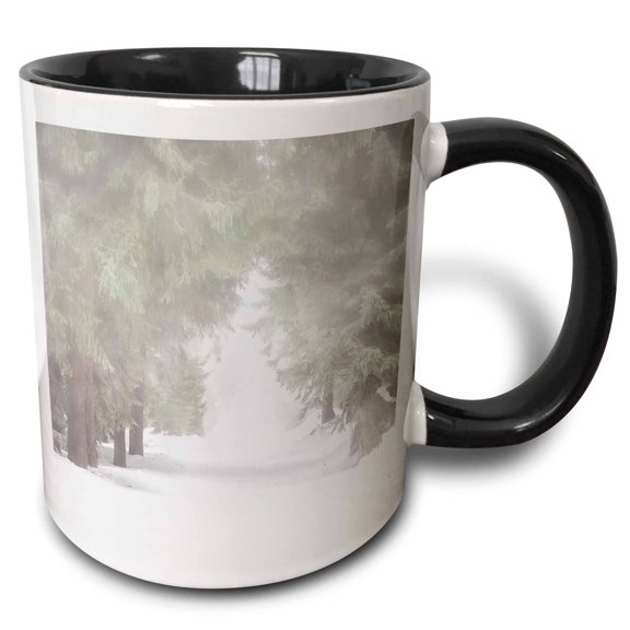 3drose, White Winter Landscape- Snowy Forest, 15oz Two-tone Black Mug