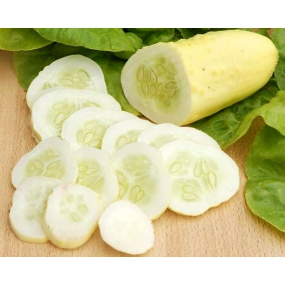 White Wonder Cucumber Seeds/ Annual/ Full Sun/120 Seeds 1/8 oz/ Zellajake Farm and Garden - B142