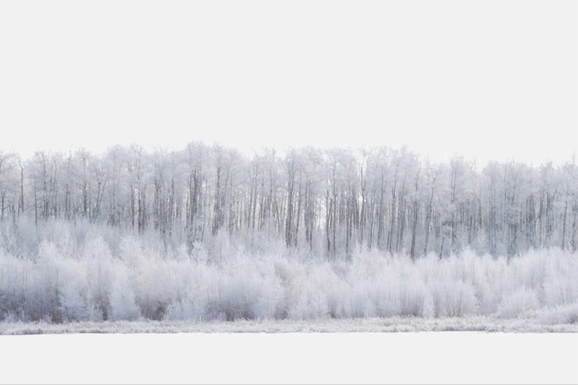 White Wonderland Canvas Art - Darren Greenwood Design Pics (17 x 11)