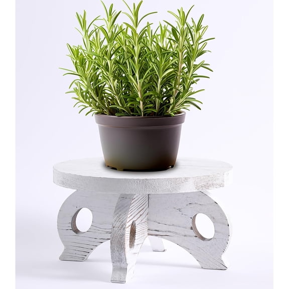 White Wooden Plant Stands Indoor Riser Round Display Stands Farmhouse Display Stool Flower Holder Pedestal Board Pine