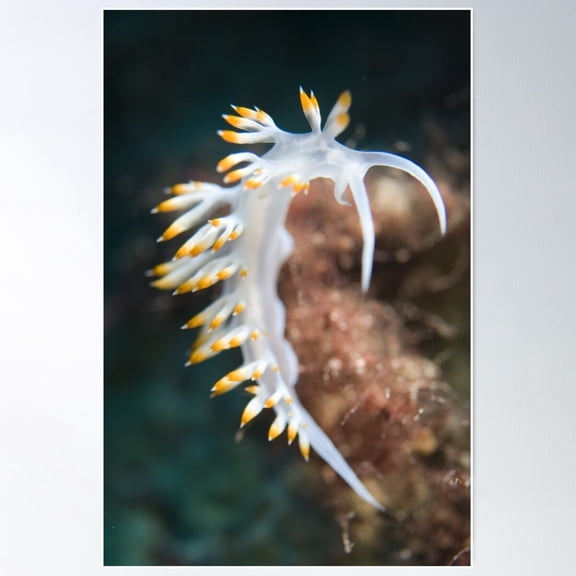 White Worm Poster Wall Art, Modern Wall Decor For Living Room Bedroom, 8x12 UNFRAMED