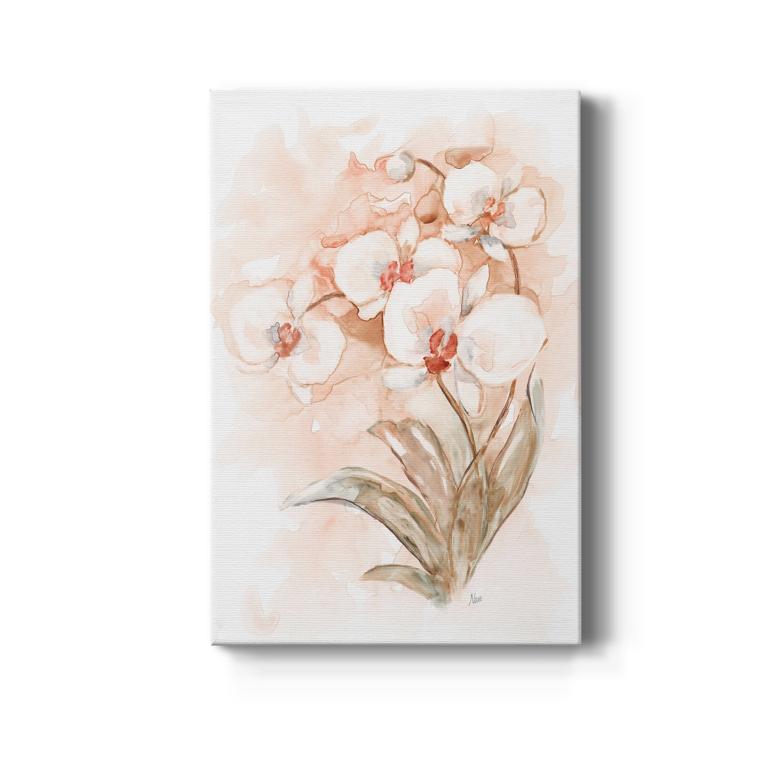 White and Coral Orchid II Premium Gallery Wrapped Canvas - Ready to Hang - 24 x 36