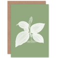 thumbnail image 1 of White and Green Exotic Flora Greetings Card Plus Envelope Blank inside, 1 of 3
