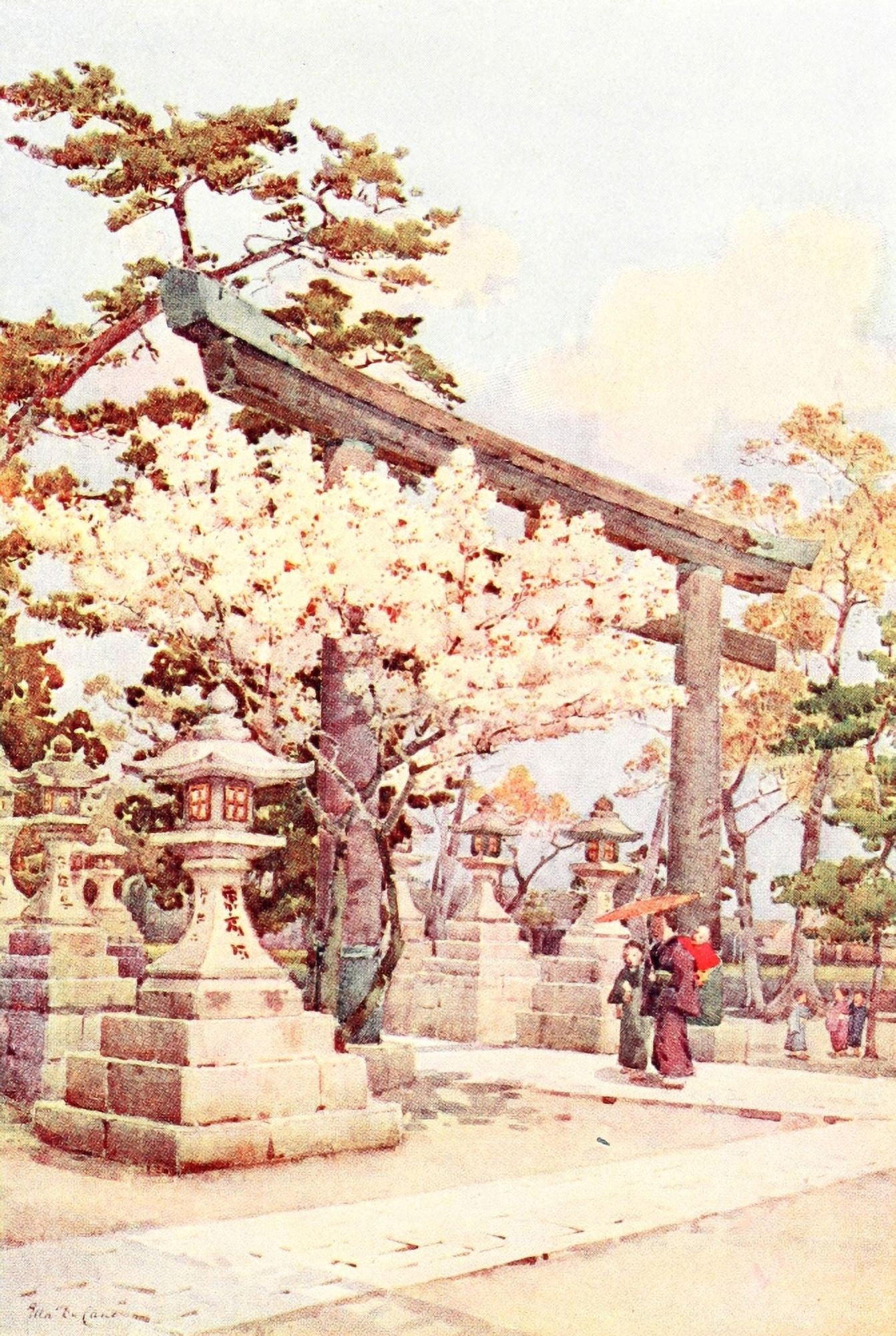 White cherry at Kitano Flowers & Gardens of Japan 1908 Canvas Art - Ella Du Cane (18 x 24)