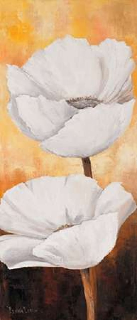 White flowers III Canvas Art - Lenna Lotus (10 x 20)
