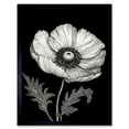 thumbnail image 1 of White on Black Single Detailed Anemone Flower Art Print Framed Poster Wall Decor 12x16 inch, 1 of 5