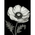 thumbnail image 1 of White on Black Single Detailed Anemone Flower Extra Large XL Wall Art Poster Print, 1 of 3
