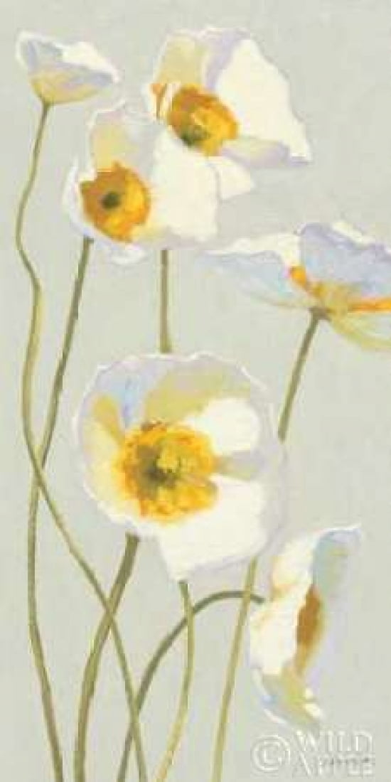 White on White Poppies Panel I Canvas Art - Shirley Novak (10 x 20)